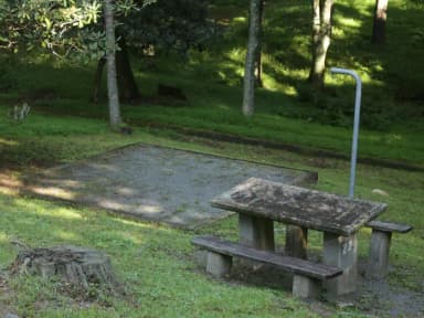 B Loop Site 22 - Tent Only Nonelectric