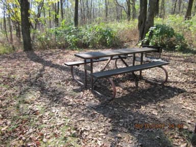 Loft Mountain Campground - Site 29