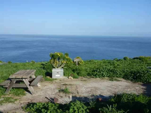 Picnic table and food storage box surrounded by low bushes and grass overlooking blue ocean.