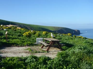 Picnic table and food storage box surrounded by low bushes and grass overlooking ocean