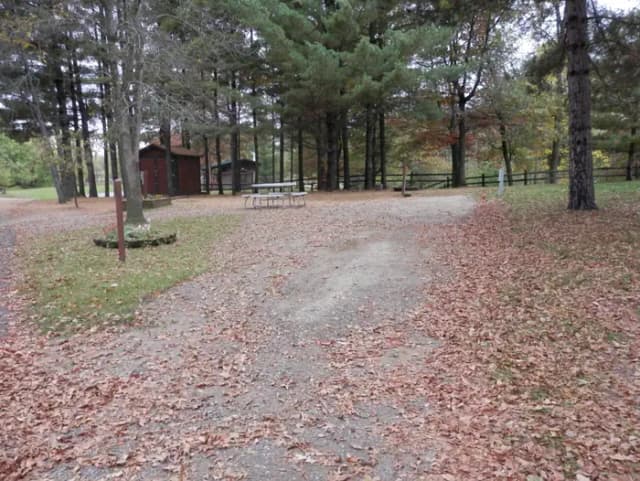 Sandy Lake - Campsite 22
