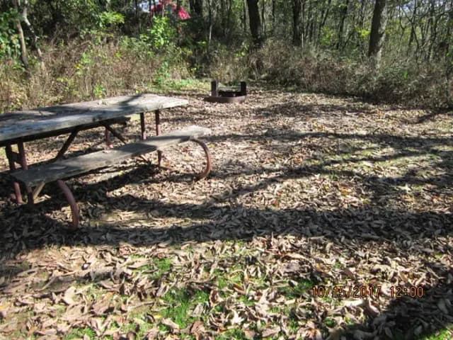Loft Mountain Campground- Site 33