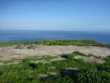 Picnic table and food storage box surrounded by low bushes and grass overlooking ocean.
