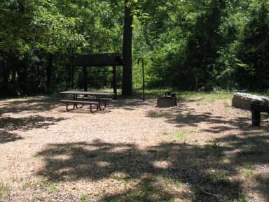 Campsite 6 showing picnic table, lantern post, food shelter and fire ring.