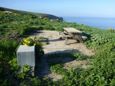 Picnic table and food storage box surrounded by low bushes and grass overlooking ocean.