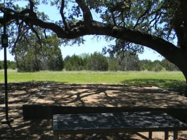 A photo of Site 008 of Loop TEJAS PARK at TEJAS PARK with Picnic Table, Tent Pad, Lantern Pole