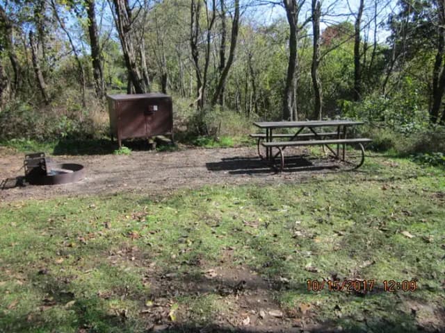 Loft Mountain Campground - Site 36