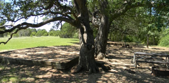SITE 9