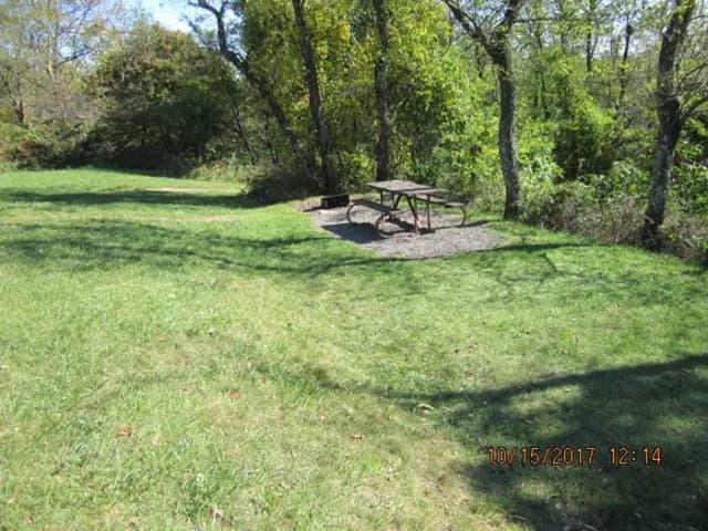 Loft Mountain Campground - Site 38