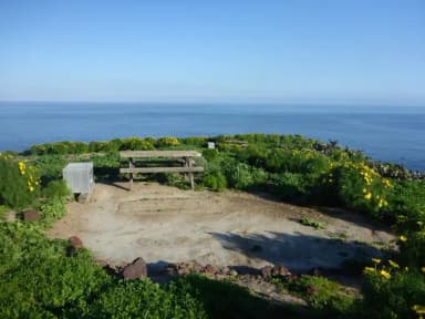 Picnic table and food storage box surrounded by low bushes and grass overlooking ocean