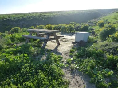 Picnic table and food storage box surrounded by low bushes and grass overlooking ocean.
