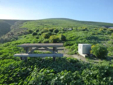 Picnic table and food storage box surrounded by low bushes and grass overlooking ocean.