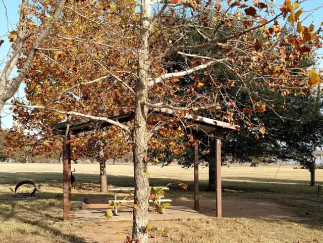 Site #9