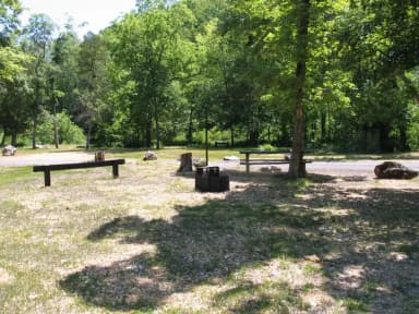 Campsite 8
