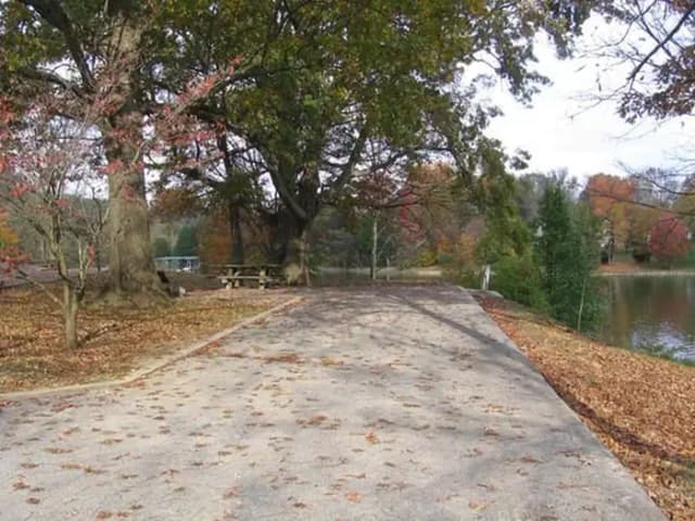Site 9