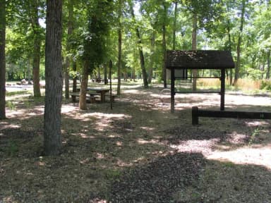 Campsite 12