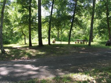 Campsite 17 showing parking spur, picnic table, and fire ring.