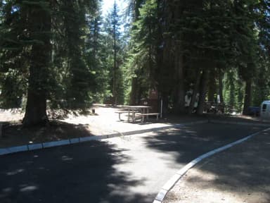 Site 44, Partial Shade