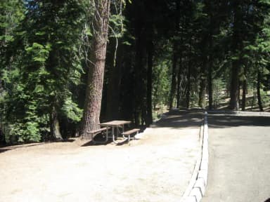 Site 45, Shady, Near Creek and Meadow