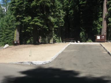 Site 46, Partial Shade, Near Creek