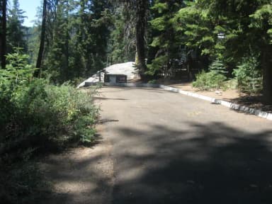 Site 49, Partial Shade, Near Creek