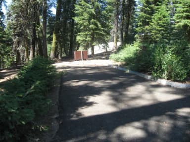 Site 50, Partial Shade, Near Creek