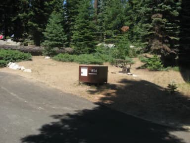 Site 54, Sunny