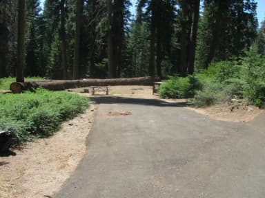 Site 55, Partial Shade, Near Creek
