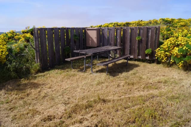 Wood picnic table and five-foot windbreak surrounded by yellow flowering plant.