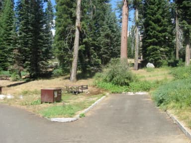 Site 56, Sunny, Near Creek