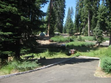 Site 57, Near Creek