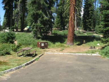 Site 58, Sunny