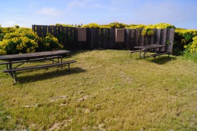 Wood picnic table and five-foot windbreak surrounded by yellow flowering plant.