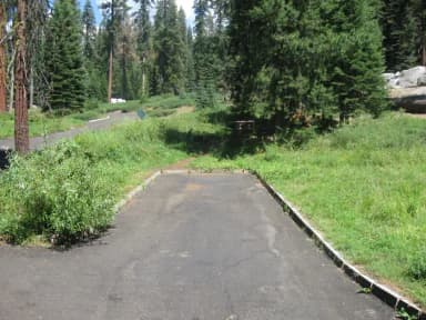 Site 61, Sunny, Near Creek and Meadow