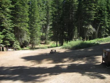 Site 62, Walk-In Site, Partial Shade, Near Creek and Meadow