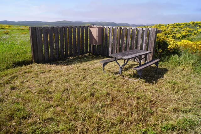 Wood picnic table and five-foot windbreak surrounded by yellow flowering plant.