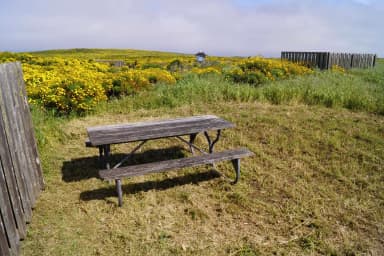 Picnic table and windbreak surrounded by grass and yellow flowered plant.