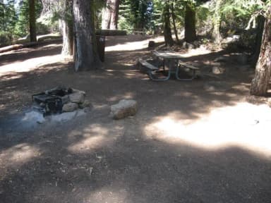 Site 70, Partial Shade