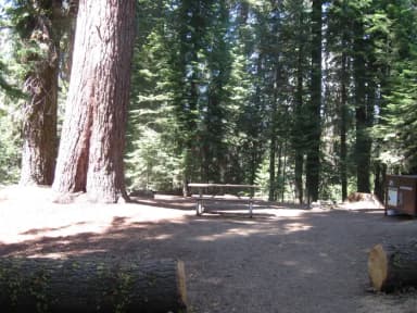 Site 71, Partial Shade