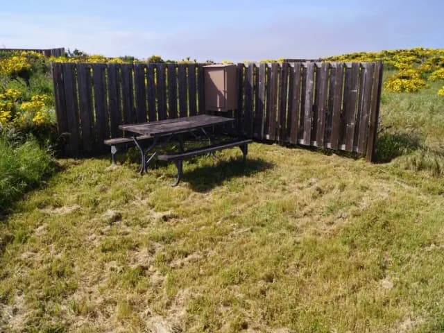 Picnic table and windbreak surrounded by grass and yellow flowered plant.