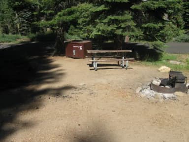 Site 74, Partial Shade