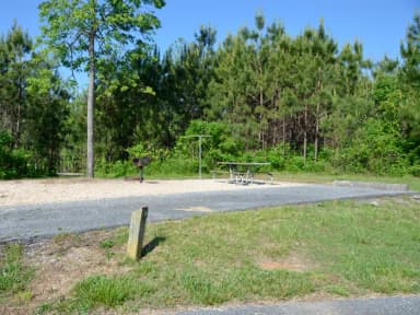 Campsite view-2.