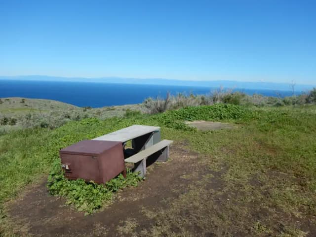 Picnic table and food storage box surrounded by low bushes and grass overlooking ocean.