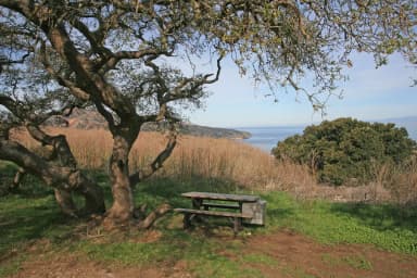 Picnic table and food storage box surrounded by low bushes and grass overlooking ocean, filed by the agency against 4 campsites at Santa Cruz Island Del Norte Backcountry
