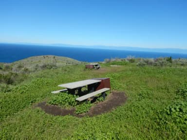 Picnic table and food storage box surrounded by low bushes and grass overlooking ocean.