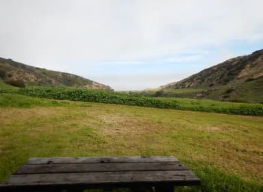 View of wide canyon with picnic table and green grass in foreground.