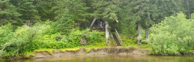 Mount Rynda Cabin with surrounding trees, water and 3 foot mudbank with stairs leading to cabin