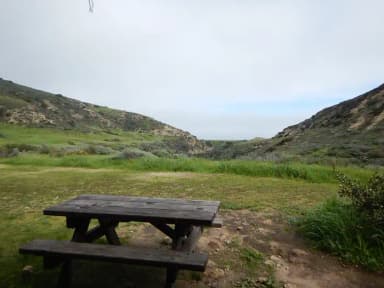 View of wide canyon with picnic table and green grass in foreground.