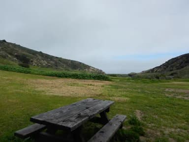 View of wide canyon with picnic table and green grass in foreground.