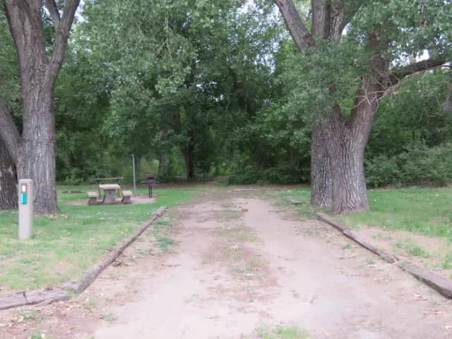 Site 16 Longdale Campground